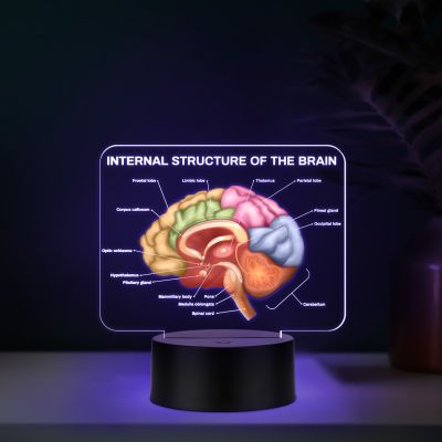 3D Illusion Internal Structure of The Brain LED Lamp, Anatomical Brain Model Night Light with Color Changing Black Base, Educational Medical Decor Science Student & Doctor Clinic Decor